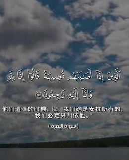 سورة البقرة: 156