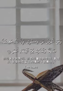 video title