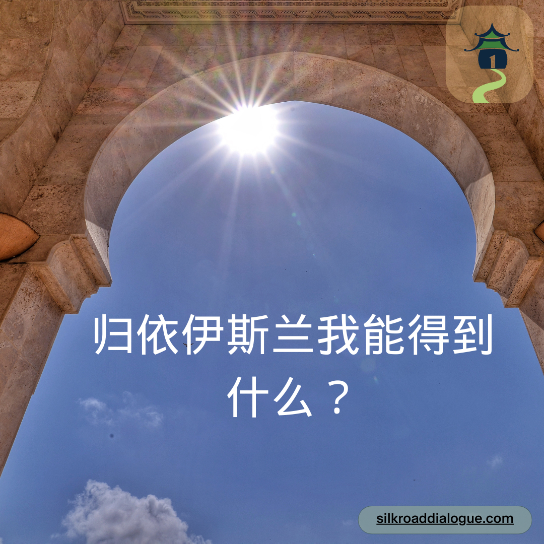 归依伊斯兰我能得到什么？