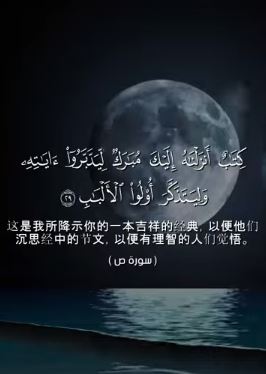 سورة: صٓ