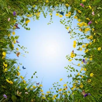 مفهوم الأسرة في الإسلام