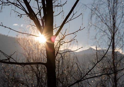 互相合作以追求善行与敬畏真主