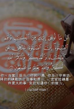 سورة العنكبوت: 45
