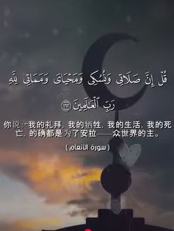 الأنعام: 162