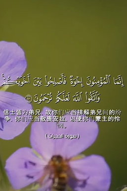 سورة الحجرات: 10