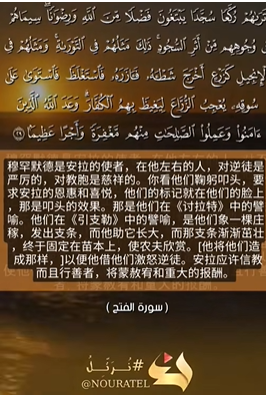 الفتح: 29