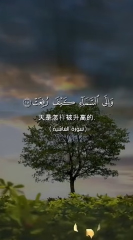 سورة الغاشية: 18-20
