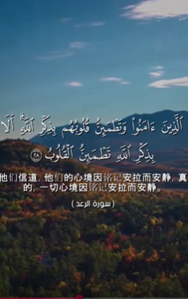 سورة الرعد: 28