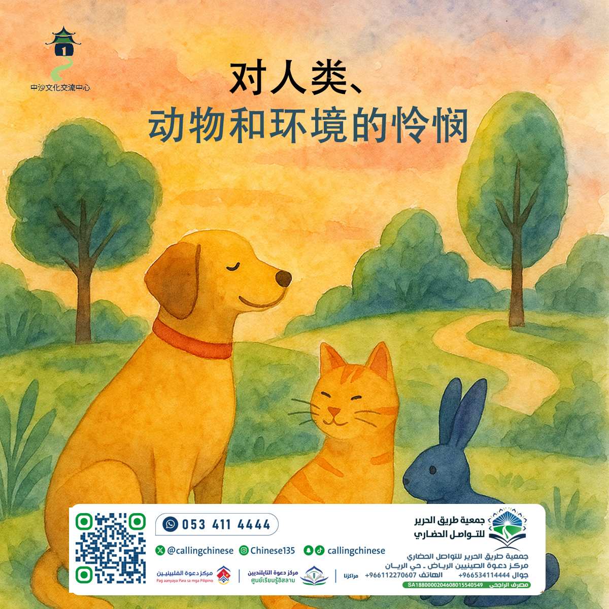 对人类、动物和环境的怜悯