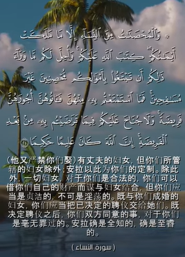 سورة النساء: 24