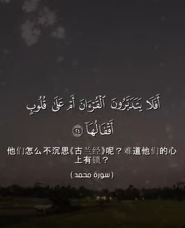 穆罕默德 24