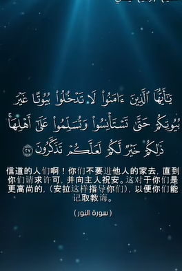 奴尔 27:28