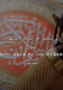 金尼 16:17
