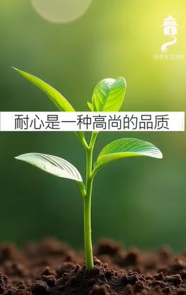 宣教中的耐心