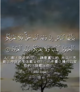 嘎推勒: 5:6