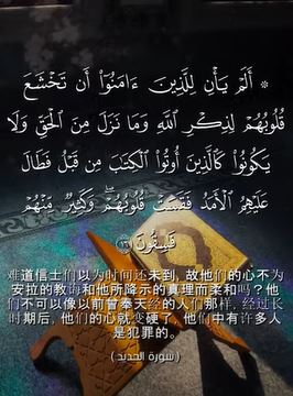 哈地德 16