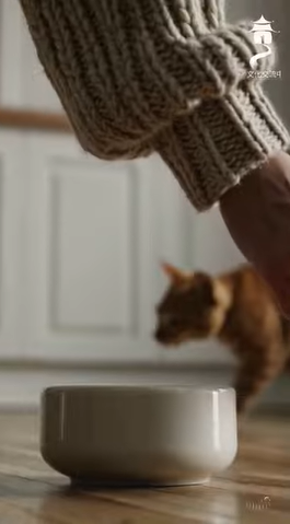 诚实是通向救赎的道路