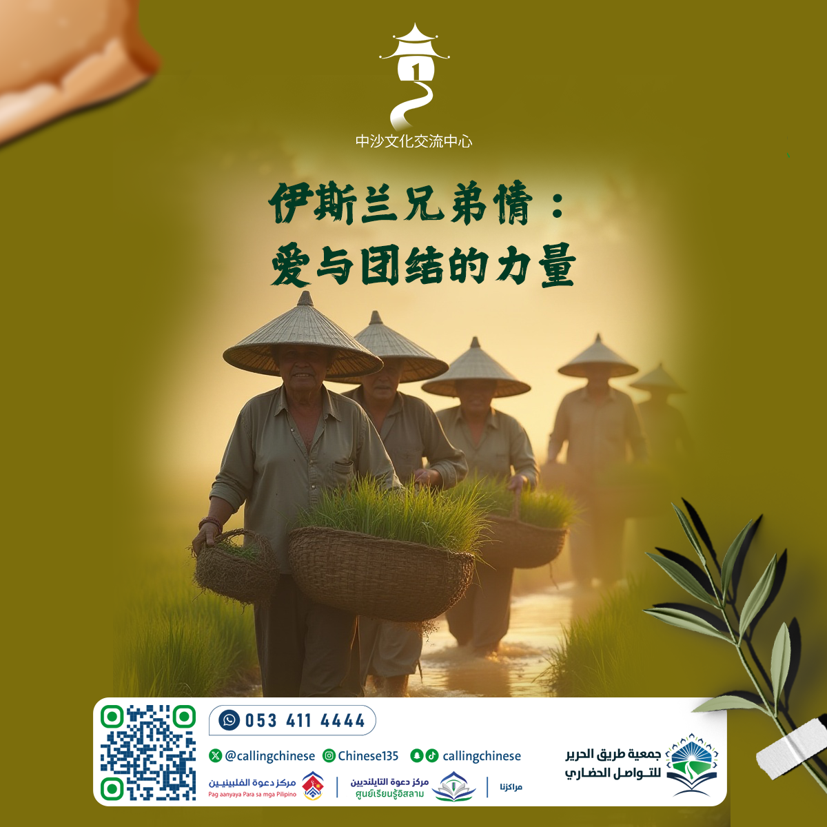 伊斯兰兄弟情：爱与团结的力量