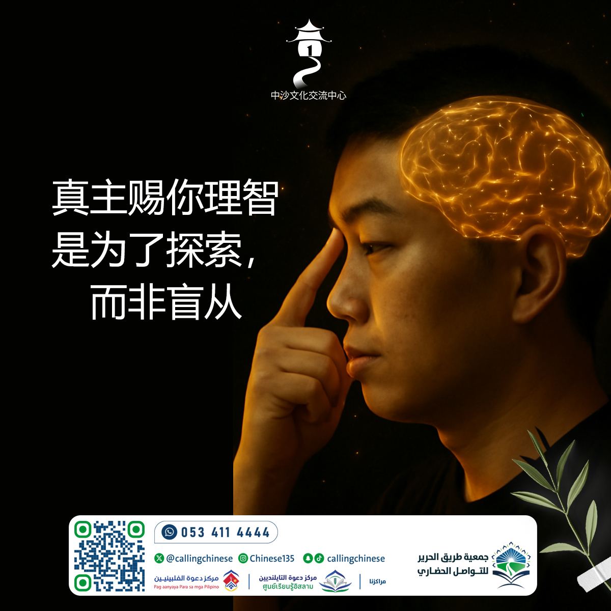 真主赐你理智……是为了探索，而非盲从