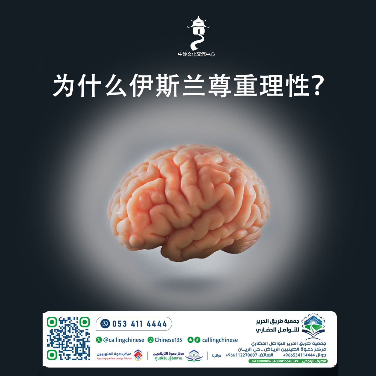 为什么伊斯兰尊重理性？