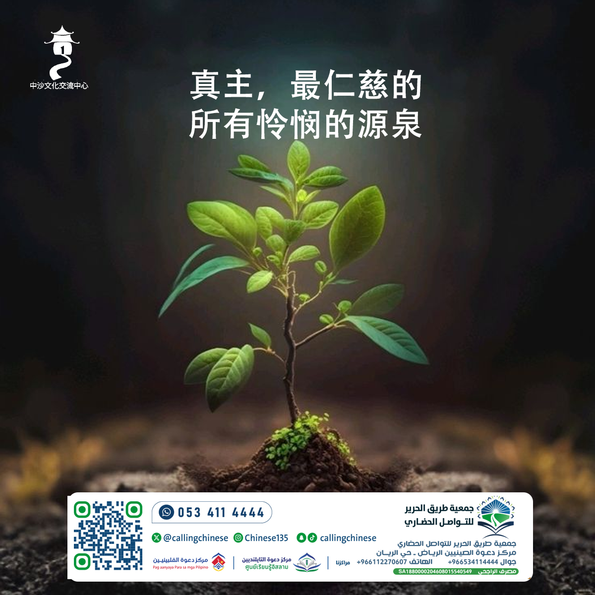 真主，最仁慈的……所有怜悯的源泉